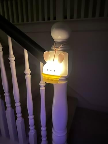 Nursery Night Light for Baby,Portable LED Night Lamp for Breastfeeding