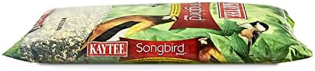 Kaytee Wild Bird Seed, 7 Pound | Songbird Blend | Pack of 2