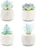 VIVERIE Mini Blue Artificial Succulent in Pots (White Ceramic, 4 Pot Set) Fake Plants for Indoors, Office Decor Blue Gift for Women, Office Home Decor Gifts-Faux Plant