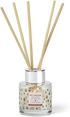 Evergreen Forest Home Freshening Reed Diffuser Set Pet House