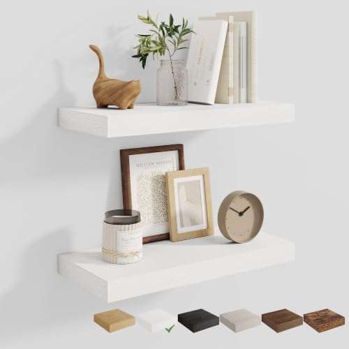 Dreamland 20 Inches Wall Mounted Wood Floating Shelves, White, 2 Pack