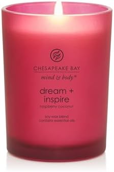 Chesapeake Bay Candle PT41689 Candle Medium Jar Dream & Inspire Home Décor
