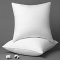 Phantoscope Throw Pillow Insert with 100% Cotton Cover, 22x22 Inch, 2 Pack
