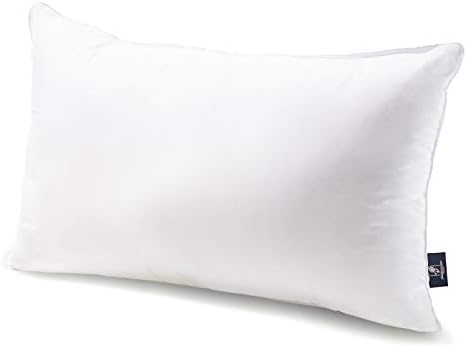 Phantoscope Throw Pillow Insert with 100% Cotton Cover, 12x20 Inch, 1 Pack