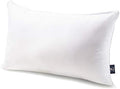 Phantoscope Throw Pillow Insert with 100% Cotton Cover, 12x20 Inch, 1 Pack