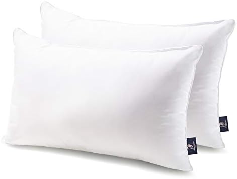 Phantoscope Throw Pillow Insert with 100% Cotton Cover, 12x20 Inch, 2 Pack