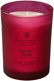 Chesapeake Bay Candle PT41689 Candle Medium Jar Dream & Inspire Home Décor, 8.8oz (Pack of 4)