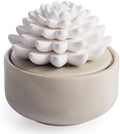 Airomé White Succulent, Porcelain Passive Essential Oil Diffuser (with 15ml Peppermint Essential Oil) – Non-Electric, Battery-Free, Improves Sleep, and Relieves Stress