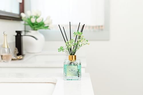PEANÄK Set of 2 - Eucalyptus Mint Fragrance Oils - Reed diffusers 6.7oz (200ml) 2 Pack of Long Lasting Scents for Home & Office,Living Room & Bathroom Shelf Decor and Gifts