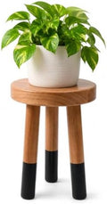 Rubber Wood 9" Round Plant Stand |Dip Dyed Black Stool, Wood Riser |Milking Stool (12" H)