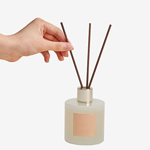 Cocorrína Premium Reed Diffuser Set with Preserved Baby's Breath & Cotton Stick Coconut Lime | 6.7oz Scent Fragrance Oil Diffuser for Bedroom Bathroom Home Décor