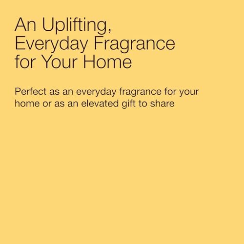 Bath & Body Works 3-Wick Candle, Sweet Orange & Agave Citrus, 14.5 oz