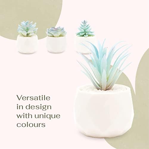 VIVERIE Mini Blue Artificial Succulent in Pots (White Ceramic, 4 Pot Set) Fake Plants for Indoors, Office Decor Blue Gift for Women, Office Home Decor Gifts-Faux Plant