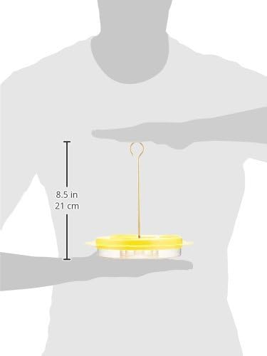 Birds Choice Flutterby Butterfly Feeder with Brass Hanging Rod
