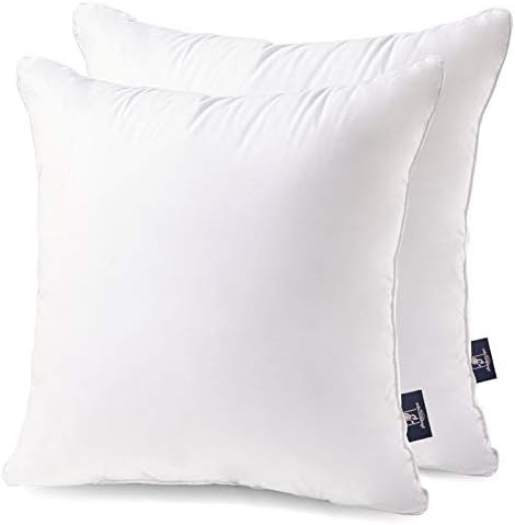 Phantoscope Throw Pillow Insert with 100% Cotton Cover, 22x22 Inch, 2 Pack