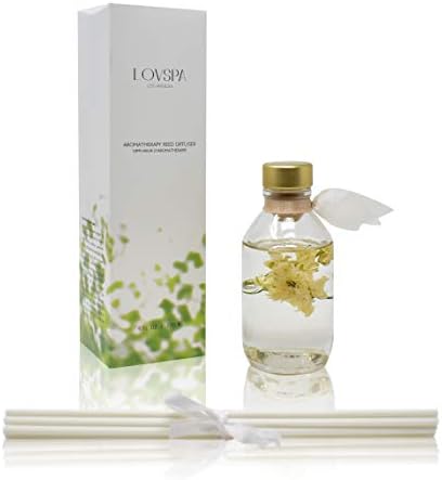 Reed Diffuser Set - Coconut Cabana Scented Diffuser with Sticks