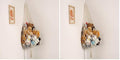 Amdermi Stuffed Animal Hammock Corner, Boho Macrame Plush Toy Storage Net for Wall, Hanging Stuffed Animal Holder for Nursery, Playroom, Kids Room, Cream (Pack of 2)