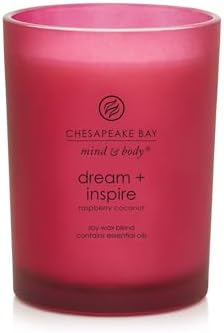 Chesapeake Bay Candle PT41689 Candle Medium Jar Dream & Inspire Home Décor