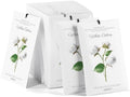 MYARO 12 Pack White Cotton Scented Sachets, Closet Deodorizer Car Freshener