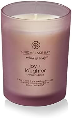 Chesapeake Bay Candle Medium Jar Candles | Joy + Laughter (Cranberry Dahlia) and Confidence + Freedom (Oak Moss Amber) 2 Count Home Décor