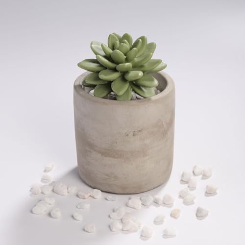 Reed Diffuser Set, Pretty Valley Home Succulent Gypsum Ceramic Fragrance Diffuser Vase Set - 3.38 fl oz (100 ml), Home Fragrance Reed Diffuser (Frozen PEAR S)