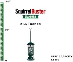 Squirrel Buster Standard Squirrel-Proof Bird Feeder w/4 Metal Perches, 1.3-Pound Seed Capacity, Garden Green, (Pack of 4)