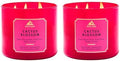 Bath & Body Works 3-Wick Candle, Cactus Blossom, Soy Wax Blend, 2 Pack