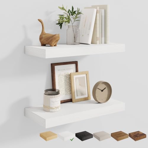 Dreamland 20 Inches Wall Mounted Wood Floating Shelves, White, 2 Pack