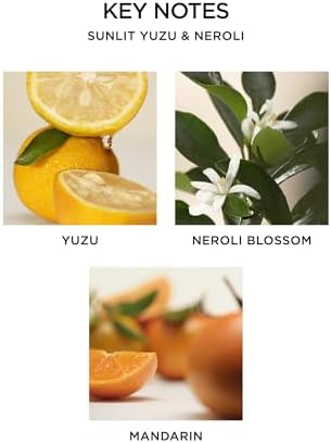 NEST New York Liquid Soap, Sunlit Yuzu & Neroli - 10 fl oz