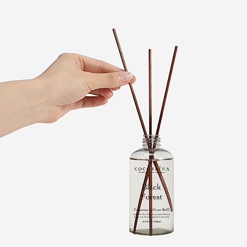 Cocorrína Refill - Black Forest Scented Reed Diffuser Oil with 8 Sticks, Home Fragrance for Bedroom, Bathroom, Oil Diffuser Home Décor, 6.7 oz. (200 ml)