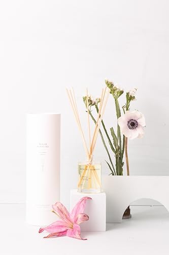 Brooklyn Candle Studio Sunday Morning Reed Diffuser, Pear & Amber, 3.7oz