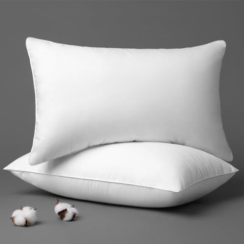 Phantoscope Throw Pillow Insert with 100% Cotton Cover, 12x20 Inch, 2 Pack