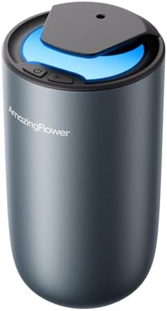 Waterless Car Diffuser for Essential Oil, Air Freshener Home Scent
