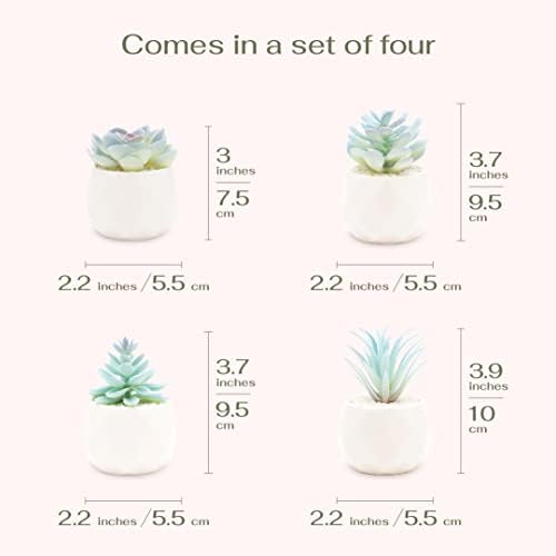 VIVERIE Mini Blue Artificial Succulent in Pots (White Ceramic, 4 Pot Set) Fake Plants for Indoors, Office Decor Blue Gift for Women, Office Home Decor Gifts-Faux Plant