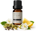 VINEVIDA [0.33oz] Hotel Fragrance Diffuser Oil - 5 Star Hotel Scents for Diffusers for Home - Cold Air Diffuser Oil - Hotel Scent Essential Oil - Scent No.1000 Inspired by My Way