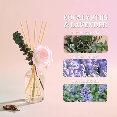 COCORRÍNA Reed Diffuser Eucalyptus Lavender Scent 6.76 fl oz Home Fragrance