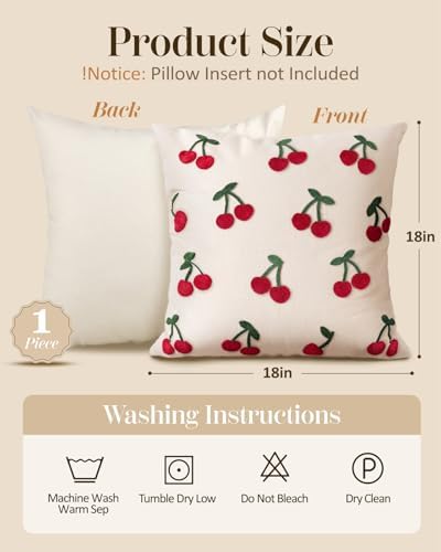 Embroidered Throw Pillow Cover 18x18 Inch, Little Cherry