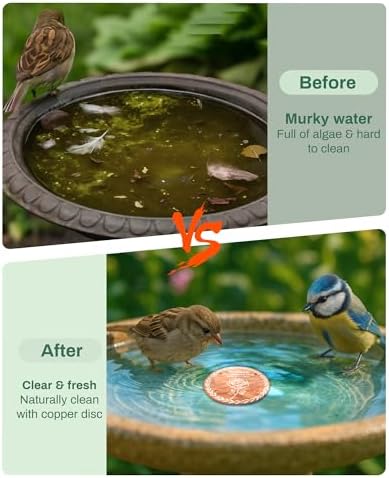 OICEME Bird Bath Purification Disc Pure Copper Outside Winter Solar Power Birdbath Hanging Bowl Deicer Cage Metal Deck Railing Glass Concrete Ceramic Stone Ground Water Bird Gifts