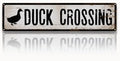 Rustic Farmhouse Metal Sign, “Duck Crossing” Vintage Tin Plaque for Yard, Ducks Coop or Garage, Outdoor & Indoor Country Wall Art, Easy to Hang, 15.8 x 4 Inch