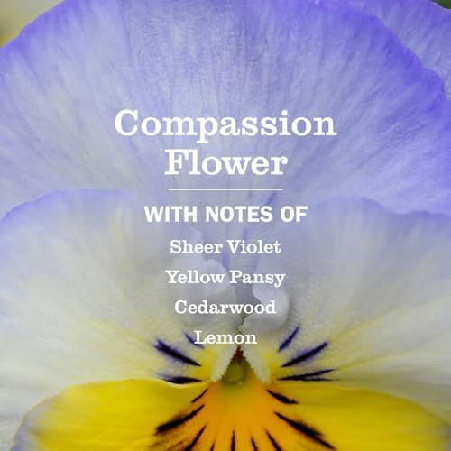 MRS. MEYER'S CLEAN DAY Scented Oil Refills, Compassion Flower, 2 Refills