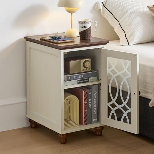Joaxswe Narrow Side Table with Glass Door Storage