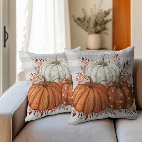 Fall Pumpkins Outdoor Pillows 20x20 Inch Set of 2 Autumn Harvest Pumpkin Pillowcase Buffalo Plaid Maple Leaves Decorative Throw Cushion Cover for Thanksgiving Seasonal Home Couch Porch Patio Decor