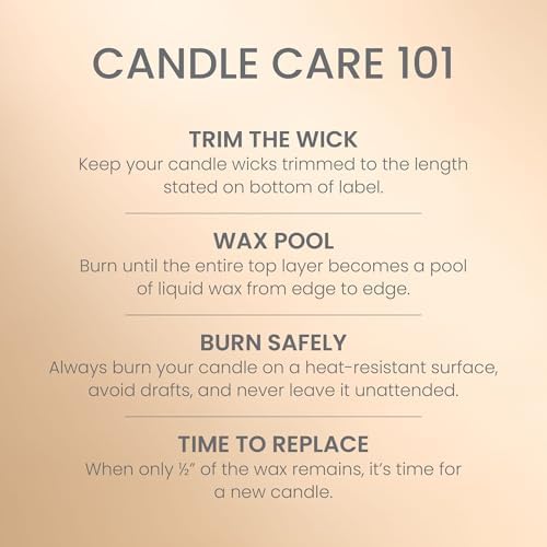 Yankee Candle Vanilla Crème Brûlée Scented Candle, 22oz Large Jar (Pack of 4)