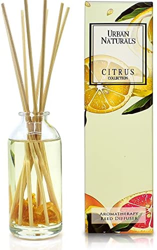 Urban Naturals Reed Diffuser Set, Citrus Bliss - Bathroom Shelf Décor