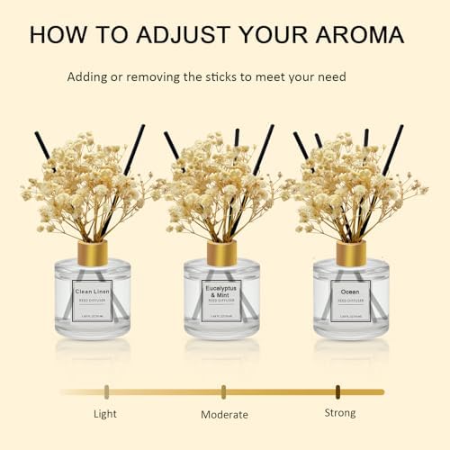 Reed Diffuser Set of 3 Pack,Scented Oil Diffuser with 4 Sticks,Reed Diffusers for Home,Living Room,Bathroom Air Freshener Diffuser,50ml x 3 (Ocean/Eucalyptus & Mint/Lemongrass)