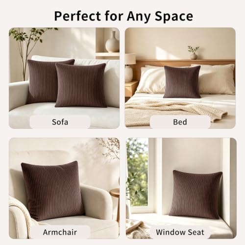 2 Pack 18 x 18 Decorative Throw Pillows with Insert Included