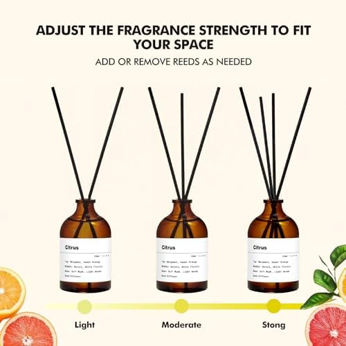 Reed Diffuser Set, Citrus Scent, 3.4 fl oz, Oil Diffusers with Sticks