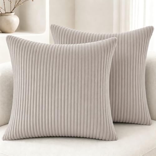 2 Pack 18 x 18 Decorative Throw Pillows with Insert Included
