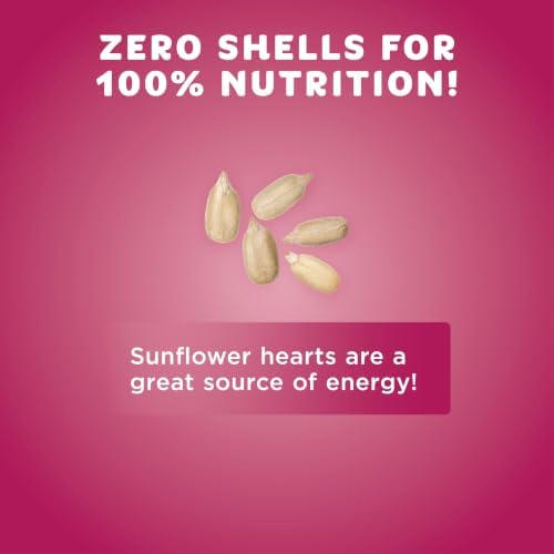 Audubon Park Sunflower Hearts Wild Bird Seed, 10 lb.