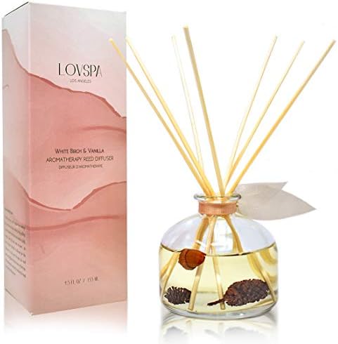 Reed Diffuser Set, White Birch & Vanilla Scented Oil Diffuser with Sticks, Home Fragrance Accessories for Bathroom Shelf Decor, Aroma Diffusers for Home or Office Fall Decor, USA Made
